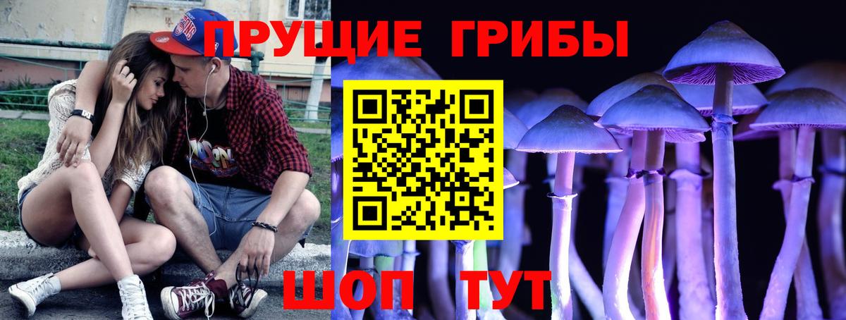 Ковров  что такое наркотик  Галлюциногенные грибы мицелий  Вход с VPN  Галлюциногенные грибы GOLDEN TEACHER 