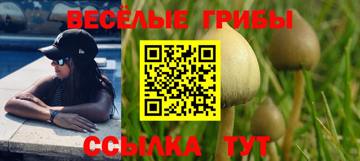 Галлюциногенные грибы MAGIC MUSHROOMS Ковров
