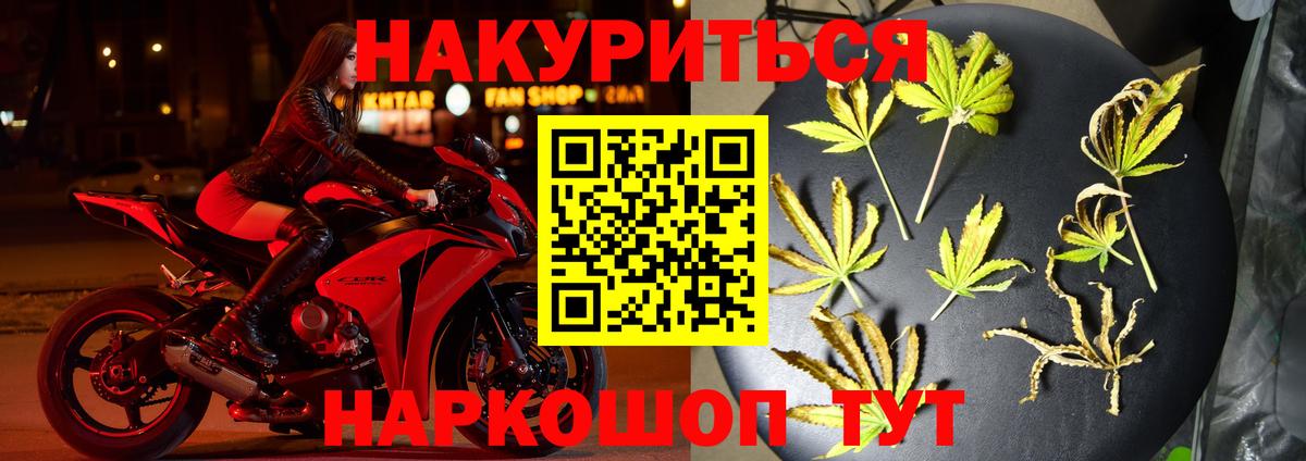 МАРИХУАНА сатива Ковров